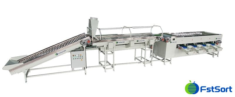 images/1734686255780clasificador de cebollas.jpg